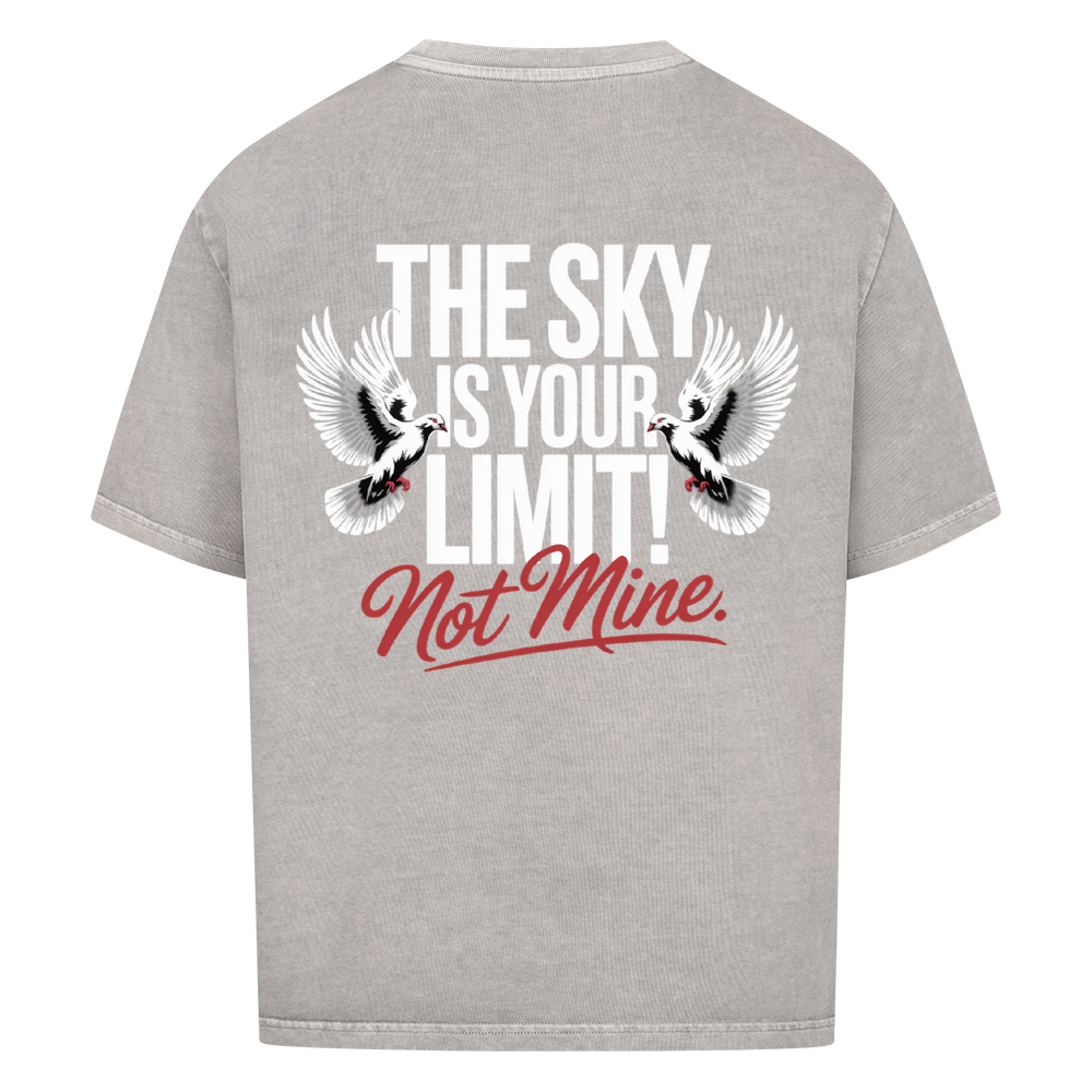 The Sky Oversized T-Shirt Unisex in Grau Washed | Corpus Maximus