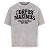 Image for color: washed grey
